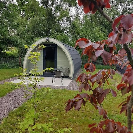 Mount Hillary Holiday Pods Cork Esterno foto